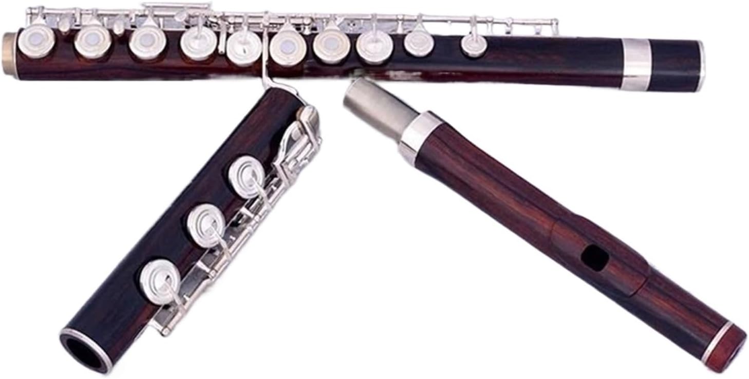 ラジコン ティーム ストア オリオン アビオニクス フライトパック 50